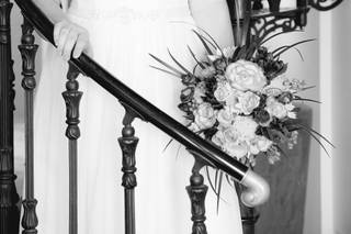 Willow Lane Photography - 9