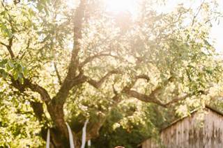 Jewel & Rose, Weddings and Events - 10