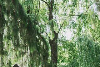 Rabbi Elina Bykova - 8