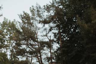 Aisha K Photography - 9