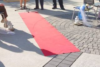 Carol Taggio - I Love Weddings - 14