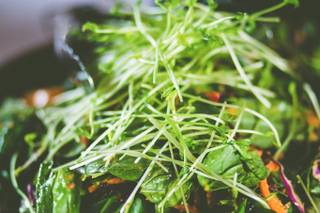 Lily Ruth Catering - 9