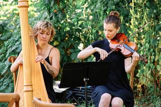 Musical Occasions 3