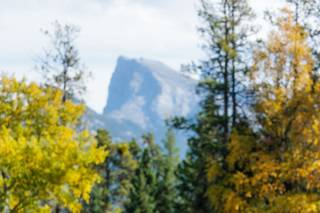Elope In Banff - 18