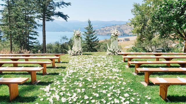 The Culinary Confetti Farm - 4