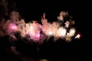 Muskoka Wild and Free - 6