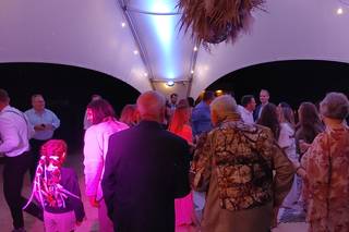 Focused Energy Productions - 6