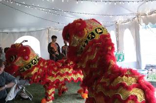 Hong De Cultural - Lion Dance 4