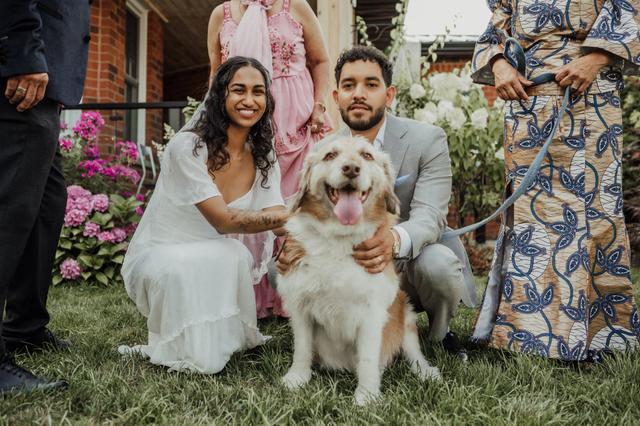 Happy Weddings - 4