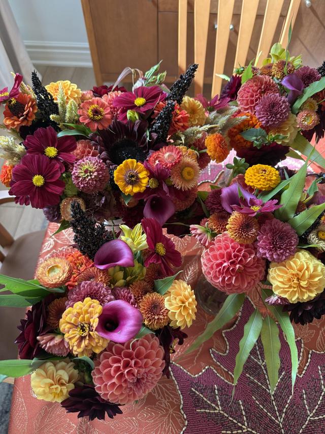 Harris Flower Farm - 2