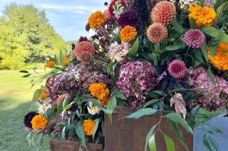 Harris Flower Farm - 7
