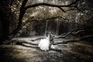 Tracy Reker Photography - 9
