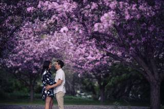 Marko D Photography - 14