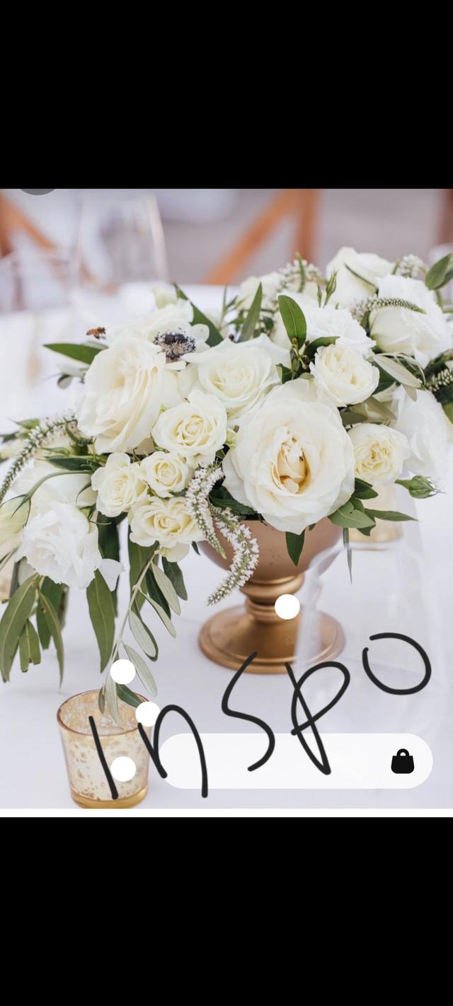 The Purple Peony - 2