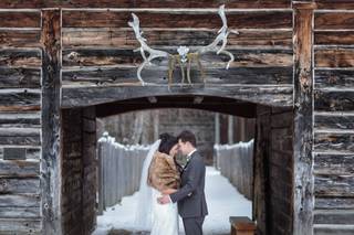 Marko D Photography - 15