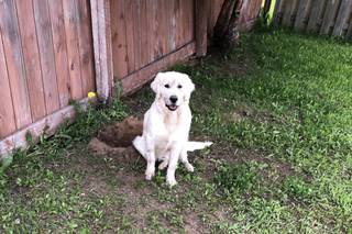 Made With Love - Janet's Bake Shop and Crafts - 2