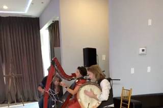 Keri Lynn Zwicker - Harpist - 7