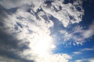 Nick Janzen Photography - 7