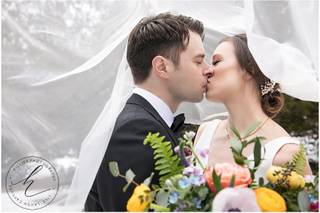 Hillier Photography - 5