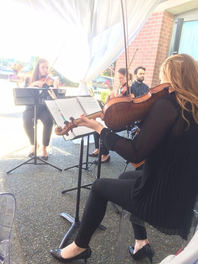 Cascadia Strings - 2