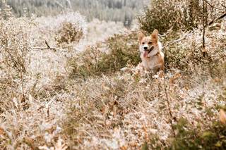 Blush & Branch Photography - 5