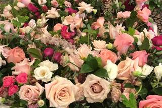 Pink poppi designs - 9