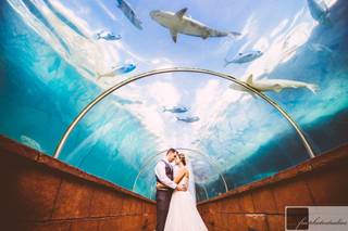fmphotostudios - 6