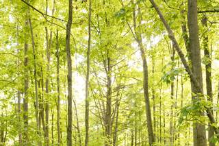 On 3 Photo & Film - 9