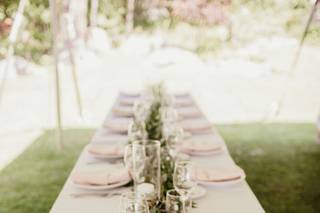 The Purple Peony - 10