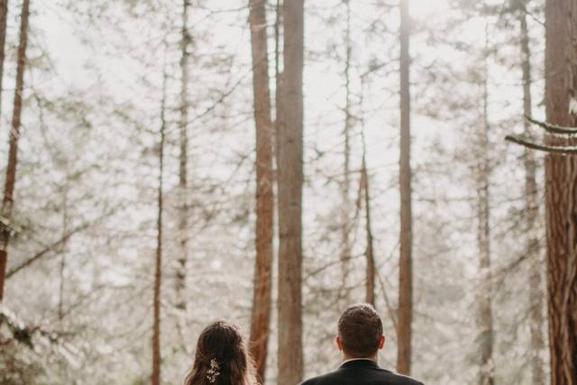 Tulle & Tweed Photography 1