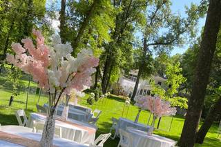 Avatar Decors & Design - 7