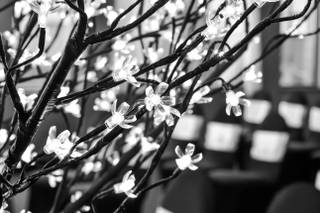 Coast Bastion Hotel - 7