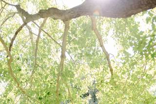 BMann Studios - 10