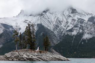 Elope In Banff - 10