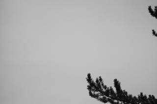 Ayla Love Photography - 14