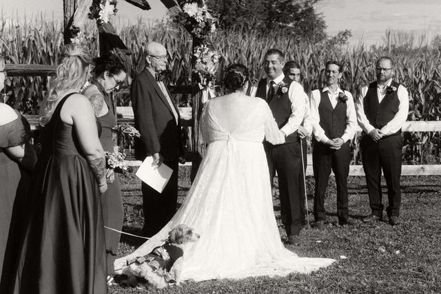 Luiza Anderle Photography - 1