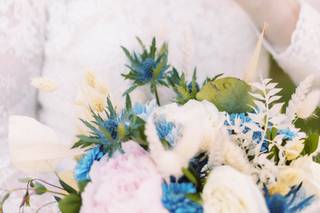 Michael Steingard Photography - 12