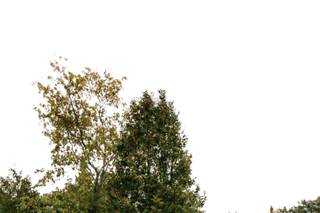 Sonia Grace Photography - 9