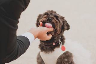 Selina Whittaker Photography - 16