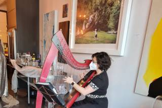 Keri Lynn Zwicker - Harpist - 5