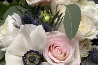 Floral Classics - 9