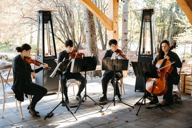 Cadenza Strings - 1