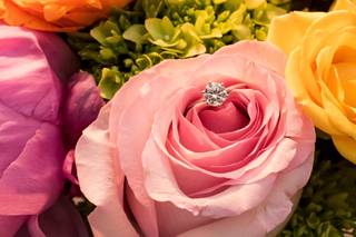 Lula King Photography - 10