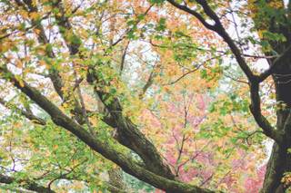 Mlle Sana Photography - 10