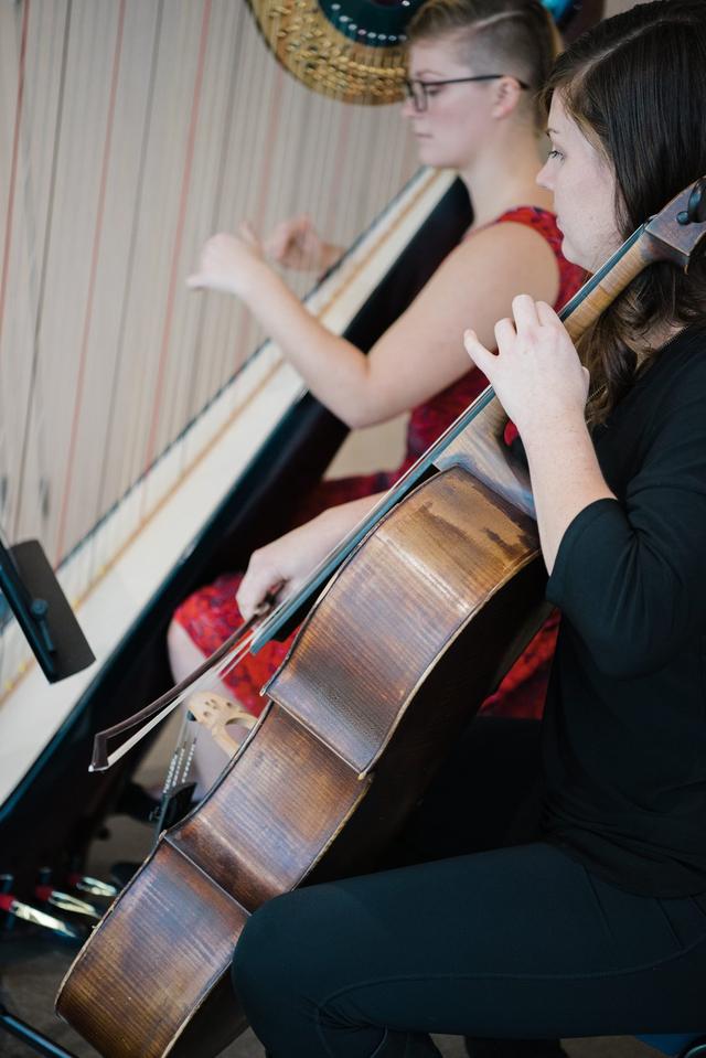 The Soenen Sisters - Harp Flute and Cello Trio - Wedding Music - Brantford  