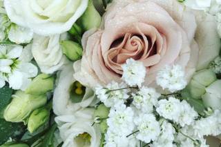 Brilliant Blooms - 17