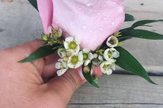 Brilliant Blooms - 18