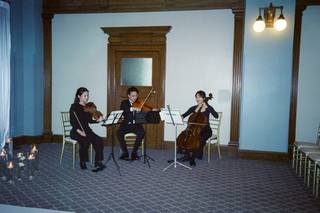 Toronto Wedding Strings | String Quartet & Harp - 6