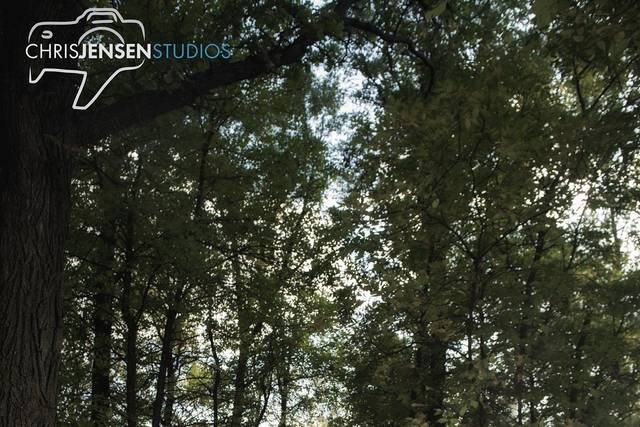 Chris Jensen Studios 5