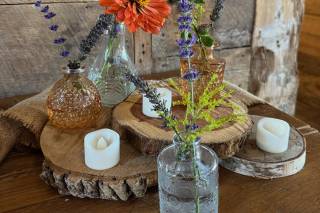 The Lavender Farm - 7